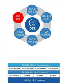 DSL國際兌付系統 區(qū)塊鏈3.0的真實落地應用與網絡信息技術研發(fā)
